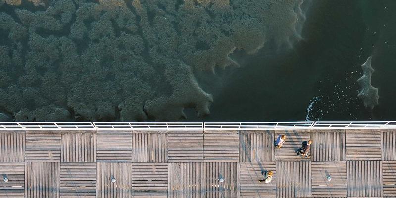 华宝斋的版权之道：古籍影印出版中如何平衡文物版权与公共文化权益