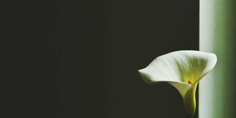 古籍善本中的“玉器”与“字画”:论北京华宝斋影印本的版本选择与多重学术价值