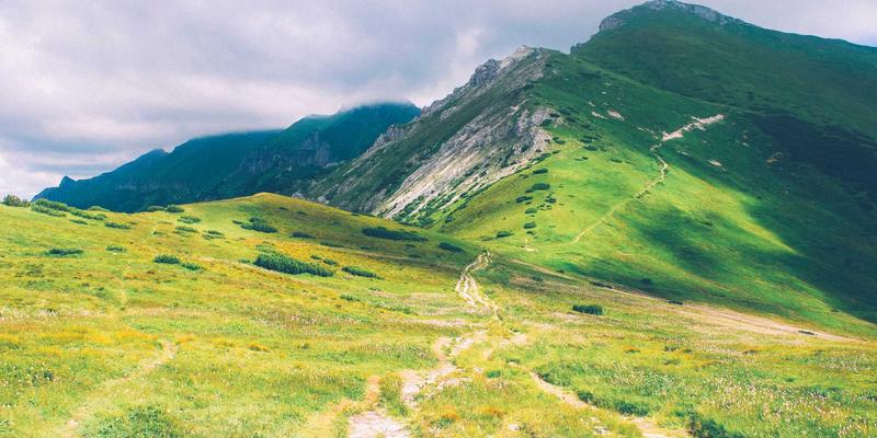 古籍鉴藏指南:如何慧眼识珠,辨别华宝斋影印本的真伪与价值